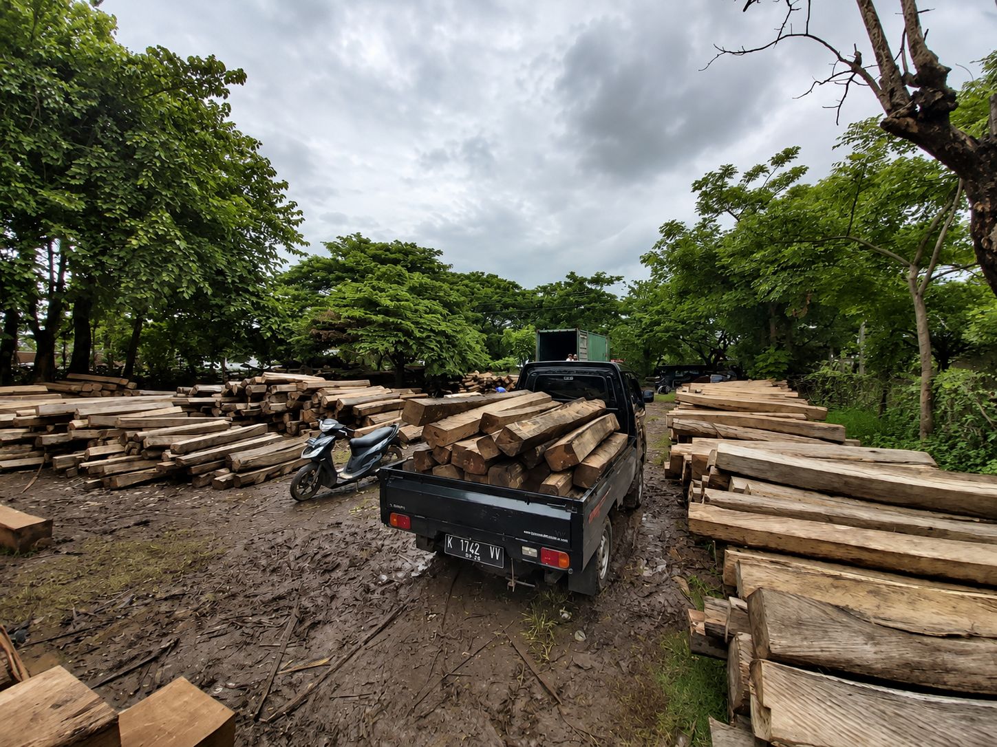 Tumpukan kayu jati gelondongan dan papan di area penyimpanan material milik Jati Wahid Furniture